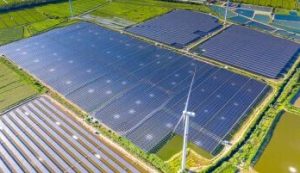 Tongwei: Spearheading the Solar Power Industry