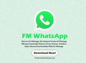 The Future of Messaging: Predictions Post-FM WhatsApp